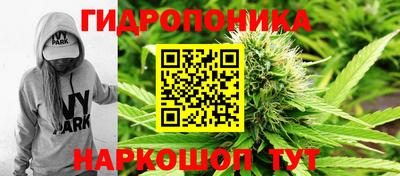 метамфетамин Новозыбков