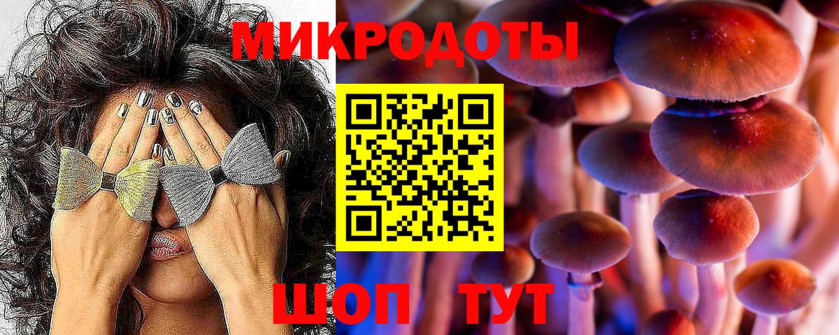 Галлюциногенные грибы Magic Shrooms Волоколамск
